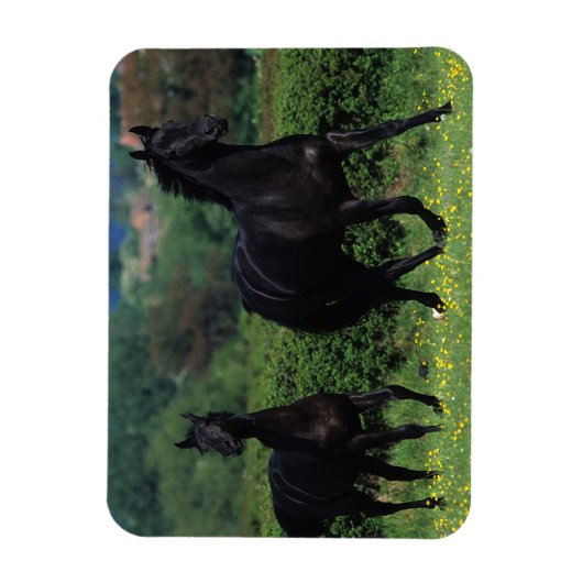 Magnet Flexible Chevaux de Thoroughbred en champ de fleurs (Vertical)