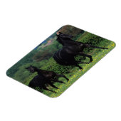 Magnet Flexible Chevaux de Thoroughbred en champ de fleurs (Côté Gauche)