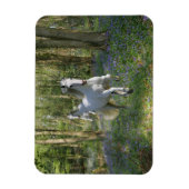 Magnet Flexible Chevaux d'Imaginaire : Bois de Bluebell (Vertical)