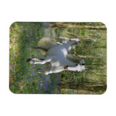 Magnet Flexible Chevaux d'Imaginaire : Bois de Bluebell (Horizontal)