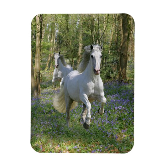 Magnet Flexible Chevaux d'Imaginaire : Bois de Bluebell (Vertical)