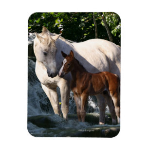 Magnet Flexible Chevaux d'Imaginaire : Cascade