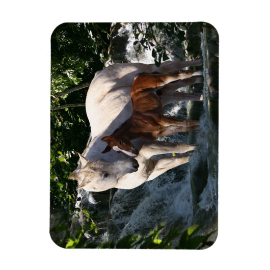 Magnet Flexible Chevaux d'Imaginaire : Cascade (Vertical)