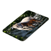 Magnet Flexible Chevaux d'Imaginaire : Cascade (Côté Gauche)