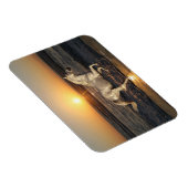Magnet Flexible Chevaux d'Imaginaire : Coucher de soleil (Côté Droit)