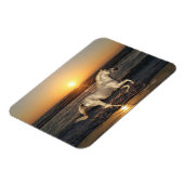 Magnet Flexible Chevaux d'Imaginaire : Coucher de soleil (Côté Gauche)