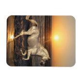 Magnet Flexible Chevaux d'Imaginaire : Coucher de soleil (Horizontal)