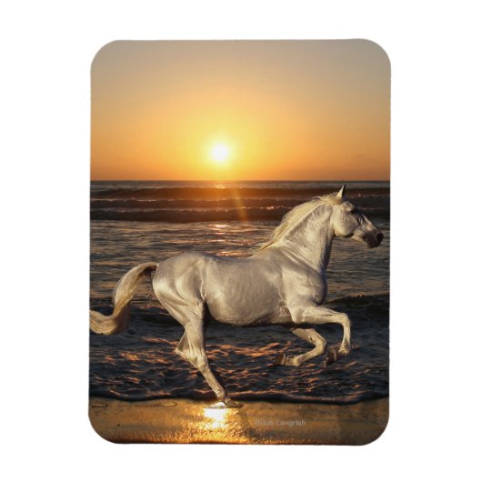 Magnet Flexible Chevaux d'Imaginaire : Coucher de soleil (Vertical)