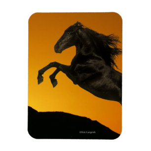 Magnet Flexible Chevaux d'imaginaire : Coucher du soleil de