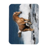 Magnet Flexible Chevaux d'Imaginaire : Été (Vertical)