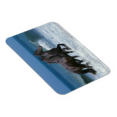 Magnet Flexible Chevaux d'Imaginaire : Friesians & Sea (Côté Droit)