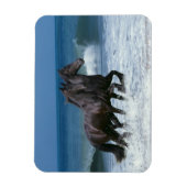Magnet Flexible Chevaux d'Imaginaire : Friesians & Sea (Vertical)