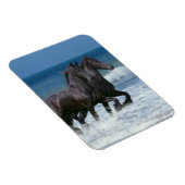 Magnet Flexible Chevaux d'Imaginaire : Friesians & Sea (Côté Droit)