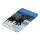 Magnet Flexible Chevaux d'Imaginaire : Friesians & Sea (Côté Gauche)