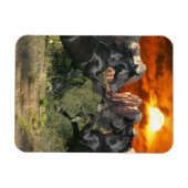 Magnet Flexible Chevaux d'Imaginaire : Magie noire (Horizontal)