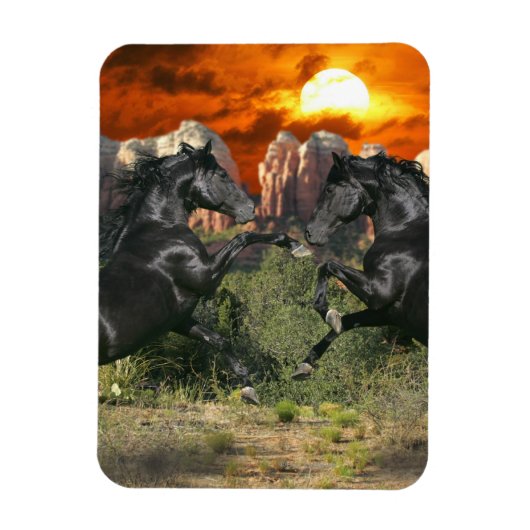 Magnet Flexible Chevaux d'Imaginaire : Magie noire (Vertical)