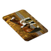 Magnet Flexible Chevaux d'Imaginaire : Mare & Foal (Côté Droit)