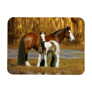 Magnet Flexible Chevaux d'Imaginaire : Mare & Foal