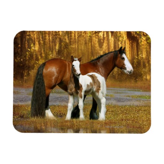 Magnet Flexible Chevaux d'Imaginaire : Mare & Foal (Horizontal)