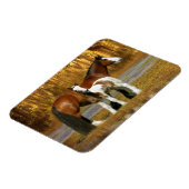 Magnet Flexible Chevaux d'Imaginaire : Mare & Foal (Côté Gauche)