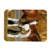 Magnet Flexible Chevaux d'Imaginaire : Mare & Foal (Horizontal)