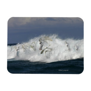 Magnet Flexible Chevaux d'Imaginaire : Mer