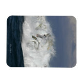 Magnet Flexible Chevaux d'Imaginaire : Mer (Horizontal)