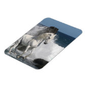 Magnet Flexible Chevaux d'Imaginaire : Mer du Sud (Côté Gauche)