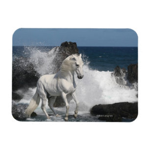 Magnet Flexible Chevaux d'Imaginaire : Mer du Sud