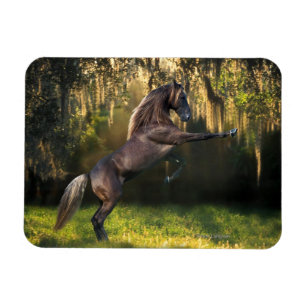 Magnet Flexible Chevaux d'Imaginaire : Prince Guerrier