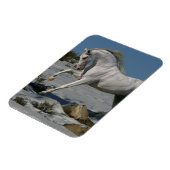 Magnet Flexible Chevaux d'Imaginaire : Roi de neige (Côté Gauche)