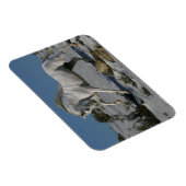 Magnet Flexible Chevaux d'Imaginaire : Roi de neige (Côté Droit)
