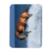 Magnet Flexible Chevaux d'Imaginaire : Selle Francais & Mer (Vertical)