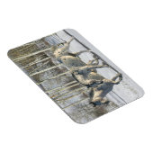Magnet Flexible Chevaux d'Imaginaire : Wonderland d'hiver (Côté Droit)