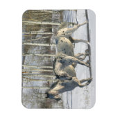 Magnet Flexible Chevaux d'Imaginaire : Wonderland d'hiver (Vertical)