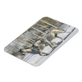 Magnet Flexible Chevaux d'Imaginaire : Wonderland d'hiver (Côté Gauche)