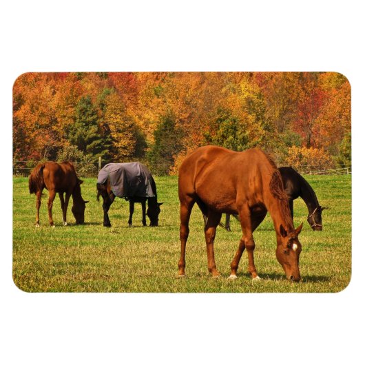 Magnet Flexible Chevaux en automne (Horizontal)