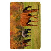 Magnet Flexible Chevaux en automne (Vertical)