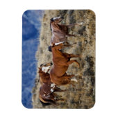 Magnet Flexible Chevaux errant dans les collines (Vertical)