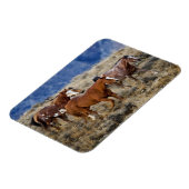 Magnet Flexible Chevaux errant dans les collines (Côté Gauche)