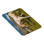 Magnet Flexible Chevaux et Mules (Côté Droit)