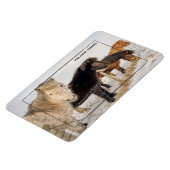 Magnet Flexible Chevaux islandais (Côté Gauche)