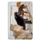 Magnet Flexible Chevaux islandais (Vertical)