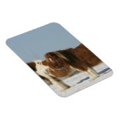 Magnet Flexible Chevaux miniatures debout dans la neige (Côté Droit)