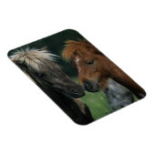 Magnet Flexible Chevaux miniatures Touchant (Côté Droit)