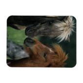 Magnet Flexible Chevaux miniatures Touchant (Horizontal)