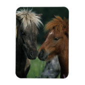 Magnet Flexible Chevaux miniatures Touchant (Vertical)