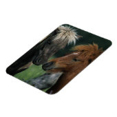Magnet Flexible Chevaux miniatures Touchant (Côté Gauche)