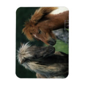 Magnet Flexible Chevaux miniatures Touchant (Vertical)