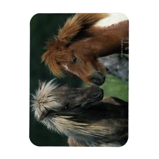 Magnet Flexible Chevaux miniatures Touchant (Vertical)